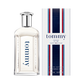 Tommy Hilfiger Tommy EDT (M) 100ml